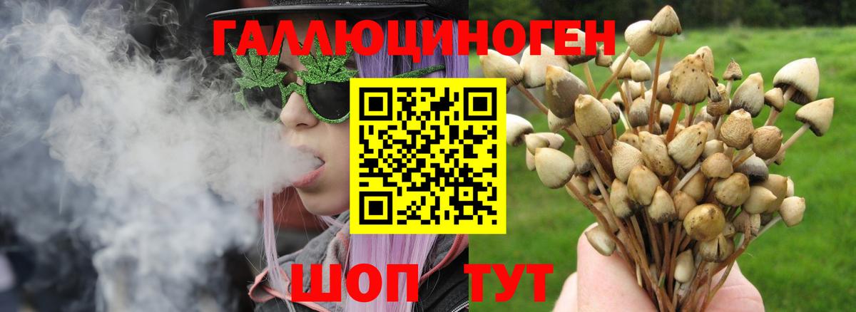 Галлюциногенные грибы Cubensis  Вход с VPN  наркота  Щёлково  Галлюциногенные грибы мицелий 